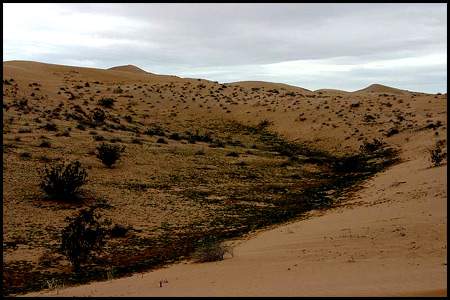 Valle entre las dunas y la vida. Foto: HÃ©ctor BarrÃ³n