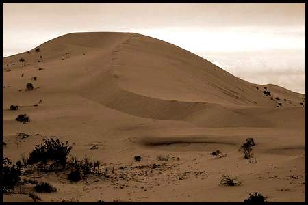 Primeras dunas grandes. Foto: HÃ©ctor BarrÃ³n