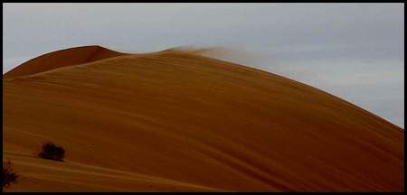 El viento: fuerza de movimiento en las dunas. Foto: HÃ©ctor BarrÃ³n