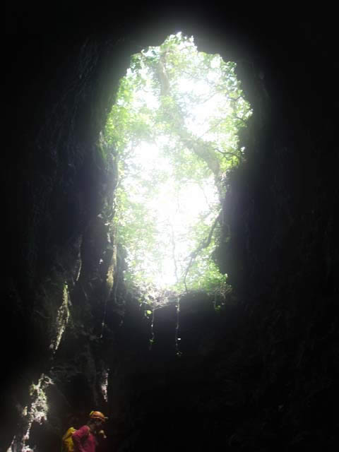 Cueva de Los Murcielagos