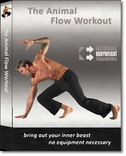 The Animal Flow Workout