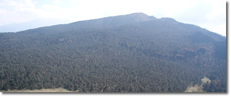 Cerro TelapÃ³n, en el Parque Nacional Izta-Popo Zoquiapan
