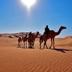En las arenas de Arabia. Foto: Wouter Kingma